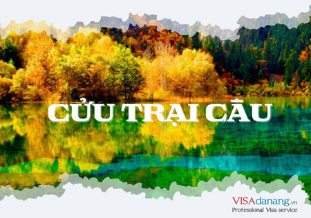 cuu trai cau